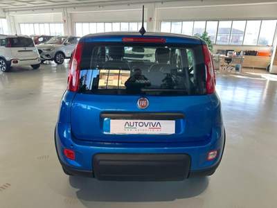 Fiat Panda 1.0 FireFly S&S Hybrid Blu/Azzurro usata Riva presso Chieri