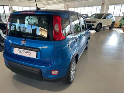 Fiat Panda 1.0 FireFly S&S Hybrid Blu/Azzurro usata Riva presso Chieri