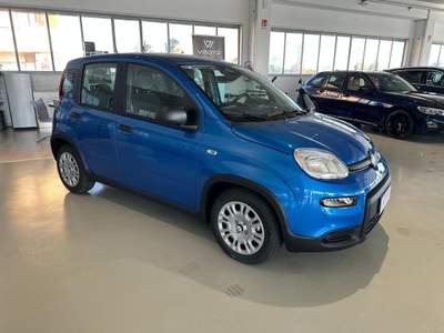Fiat Panda 1.0 FireFly S&S Hybrid Blu/Azzurro usata Riva presso Chieri