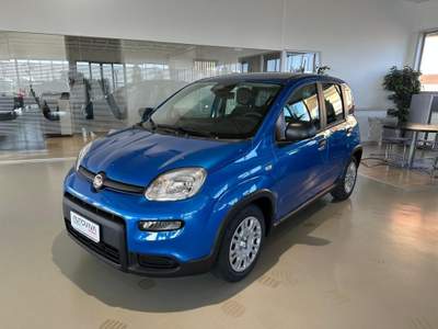 Fiat Panda 1.0 FireFly S&S Hybrid Blu/Azzurro usata Riva presso Chieri