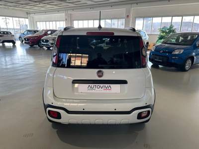 Fiat Panda 1.0 FireFly S&S Hybrid Pandina Bianco usata Riva presso Chieri