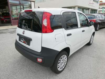 Fiat Panda 1.2 69 Cv VAN 2 posti - CHILOMETRI CERTIFICATI Bianco usata Boves