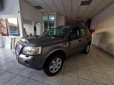 Land Rover Freelander 2.2 TD4 SE Grigio usata Mondolfo
