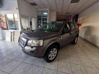 Land Rover Freelander 2.2 TD4 SE Grigio usata Mondolfo