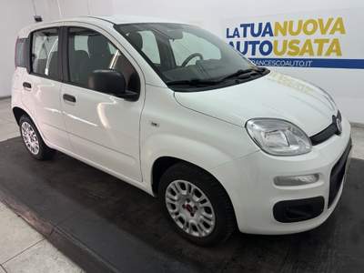 Fiat Panda 1.2 Easy s&s 69cv my19 Bianco usata Pescara