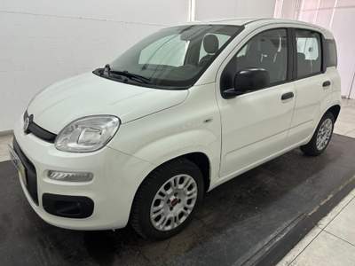 Fiat Panda 1.2 Easy s&s 69cv my19 Bianco usata Pescara