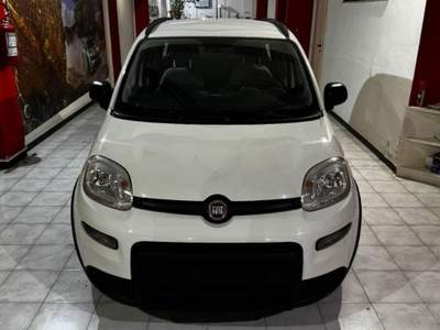 Fiat Panda 1.0 firefly hybrid City Life s&s 70cv 5p.ti Bianco usata Sassari