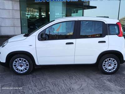 Fiat Panda 1.0 Hybrid 70 CV PREZZO REALE SENZA OBBLIGHI Bianco usata Abbiategrasso