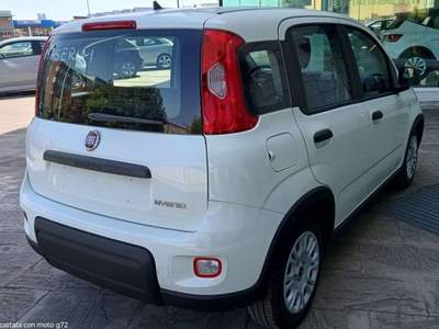 Fiat Panda 1.0 Hybrid 70 CV PREZZO REALE SENZA OBBLIGHI Bianco usata Abbiategrasso