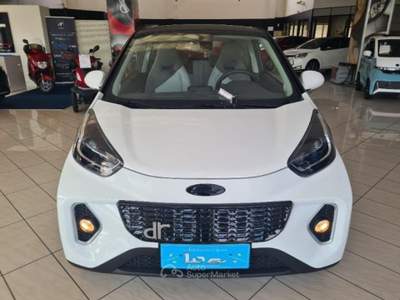 DR 1.0 dr 1.0 EV Bianco usata Massa