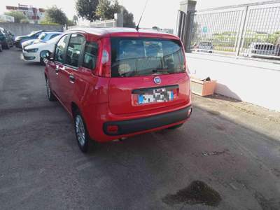 Fiat Panda 1.2 Easy Rosso usata Veglie