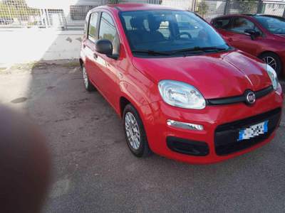 Fiat Panda 1.2 Easy Rosso usata Veglie