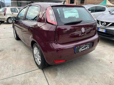 Fiat Punto Evo 1.3 Mjt 75 CV DPF 5 porte S&S Blue&Me Lilla usata Giugliano in Campania