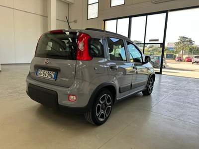 Fiat Panda 1.0 FireFly S&S Hybrid City Life Grigio usata Valledoria