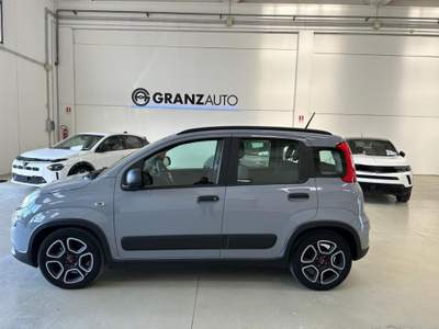 Fiat Panda 1.0 FireFly S&S Hybrid City Life Grigio usata Valledoria