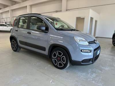 Fiat Panda 1.0 FireFly S&S Hybrid City Life Grigio usata Valledoria
