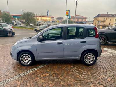 Fiat Panda 1.0 FireFly S&S Hybrid Grigio usata Costa Volpino