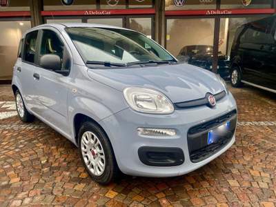 Fiat Panda 1.0 FireFly S&S Hybrid Grigio usata Costa Volpino