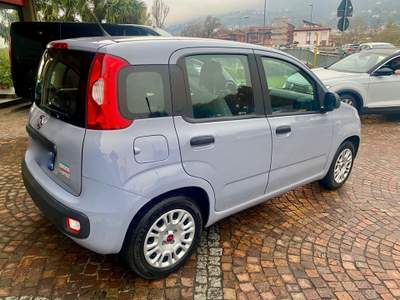 Fiat Panda 1.0 FireFly S&S Hybrid Grigio usata Costa Volpino
