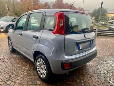 Fiat Panda 1.0 FireFly S&S Hybrid Grigio usata Costa Volpino