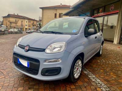Fiat Panda 1.0 FireFly S&S Hybrid Grigio usata Costa Volpino