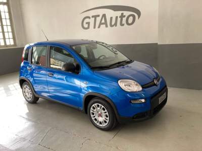 Fiat Panda 1.0 FireFly S&S Hybrid adatta ai neopatentati Blu/Azzurro usata Alessandria