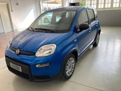 Fiat Panda 1.0 FireFly S&S Hybrid adatta ai neopatentati Blu/Azzurro usata Alessandria