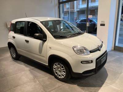 Fiat Panda 1.0 FireFly S&S Hybrid+pack city  PROMO GTAUTO Blu/Azzurro usata Alessandria