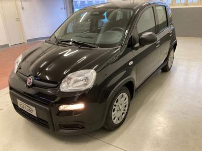 Fiat Panda 1.0 FireFly S&S Hybrid Pandina PROMO GTAUTO Giallo usata Alessandria