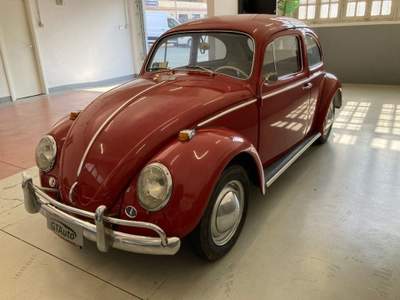 Volkswagen Maggiolino nasino 11-113 Lilla usata Alessandria