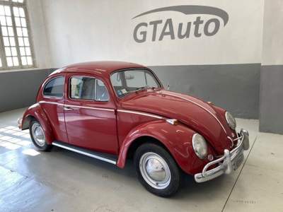 Volkswagen Maggiolino nasino 11-113 Lilla usata Alessandria