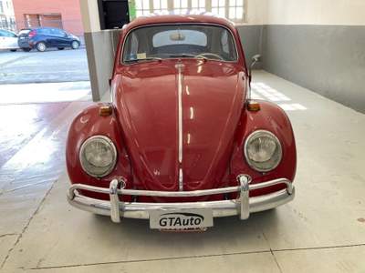 Volkswagen Maggiolino nasino 11-113 Lilla usata Alessandria
