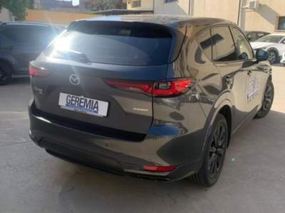 Mazda CX-60 3.3L e-Skyactiv D 249 CV M Hybrid AWD Homura Grigio usata Reggio di Calabria