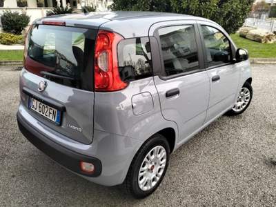 Fiat Panda 1.0 FireFly S&S Hybrid Grigio usata Camisano Vicentino