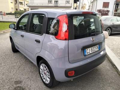 Fiat Panda 1.0 FireFly S&S Hybrid Grigio usata Camisano Vicentino