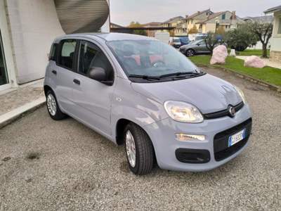 Fiat Panda 1.0 FireFly S&S Hybrid Grigio usata Camisano Vicentino