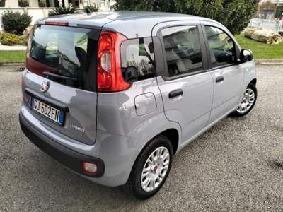 Fiat Panda 1.0 FireFly S&S Hybrid Grigio usata Camisano Vicentino