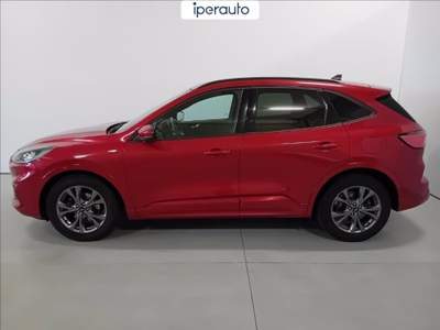 Ford Kuga 1.5 ecoblue st-line 2wd 120cv Rosso usata Cava Manara