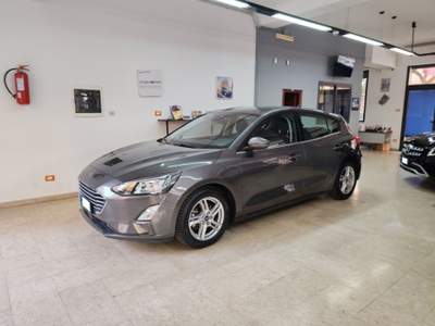 Ford Focus 1.5 EcoBlue 120 CV 5p. Business Grigio usata Palermo