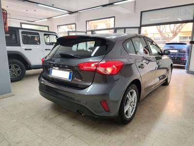 Ford Focus 1.5 EcoBlue 120 CV 5p. Business Grigio usata Palermo