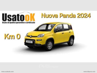 Fiat Panda Panda 1.0 FireFly S&S Hybrid NUOVA PANDA KM ZERO Giallo usata AVIGLIANA