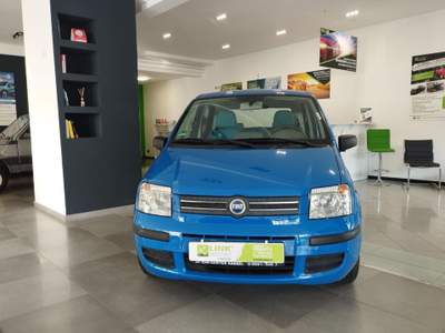 Fiat Panda 1.2 Dynamic NEOPATENTATIVENDUTA Blu/Azzurro usata Amantea CS
