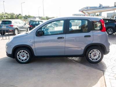Fiat Panda 1.0 firefly hybrid City Life s&s 70cv 5p.ti Grigio usata Ispica