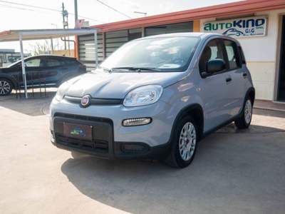 Fiat Panda 1.0 firefly hybrid City Life s&s 70cv 5p.ti Grigio usata Ispica
