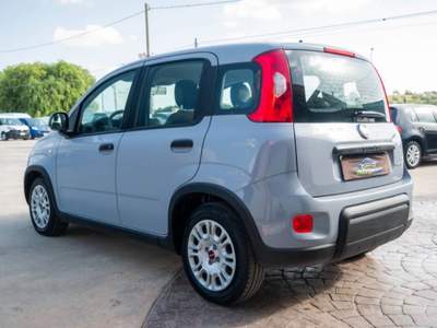 Fiat Panda 1.0 firefly hybrid City Life s&s 70cv 5p.ti Grigio usata Ispica