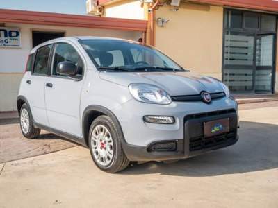 Fiat Panda 1.0 firefly hybrid City Life s&s 70cv 5p.ti Grigio usata Ispica