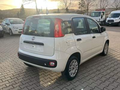 Fiat Panda 1.3 MJT 95 CV S&S Easy Bianco usata Monte San Savino