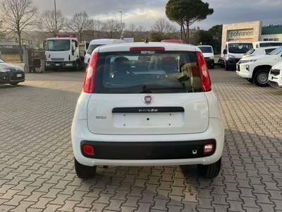 Fiat Panda 1.3 MJT 95 CV S&S Easy Bianco usata Monte San Savino
