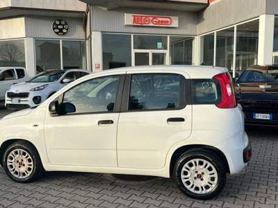 Fiat Panda 1.3 MJT 95 CV S&S Easy Bianco usata Monte San Savino