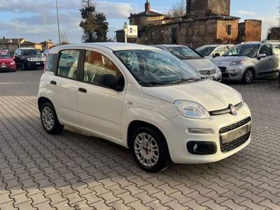 Fiat Panda 1.3 MJT 95 CV S&S Easy Bianco usata Monte San Savino